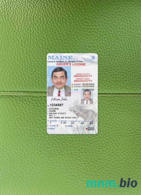 USA Maine prawo jazdy poniżej 21 lat photolook, w pełni edytowalny